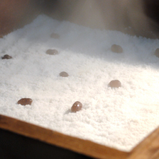 甘納豆蒸し餅(ペッソルギ) 450g 