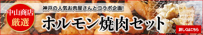 中山商店厳選ホルモン焼肉セット