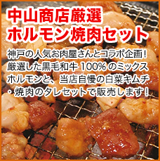 中山商店厳選ホルモン焼肉セット